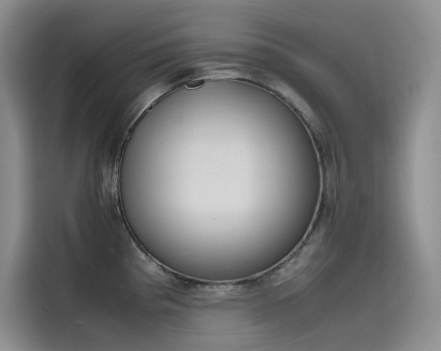 X0000115621193200911171309