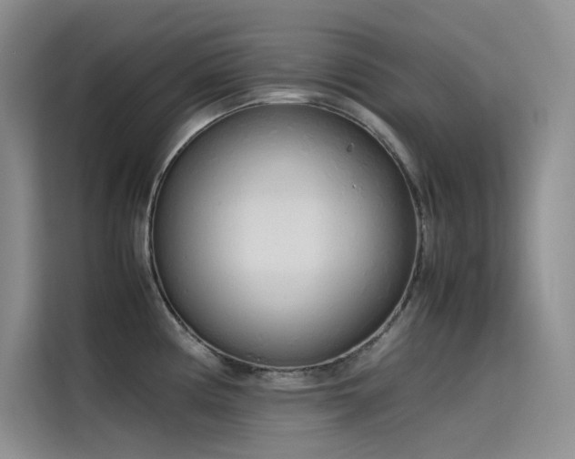 X0000115621194200911171309