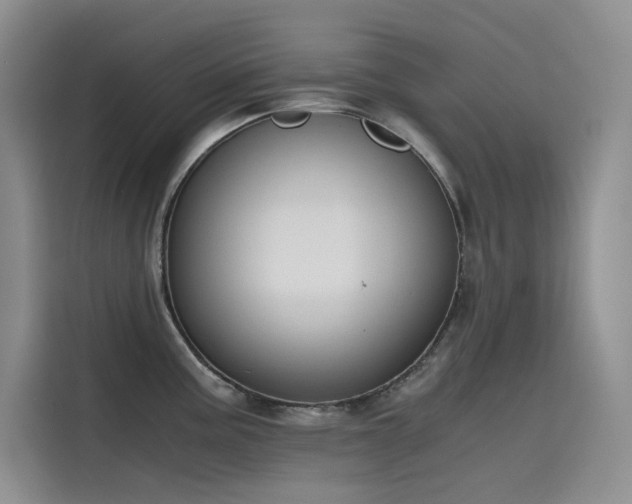 X0000115621195200911171309