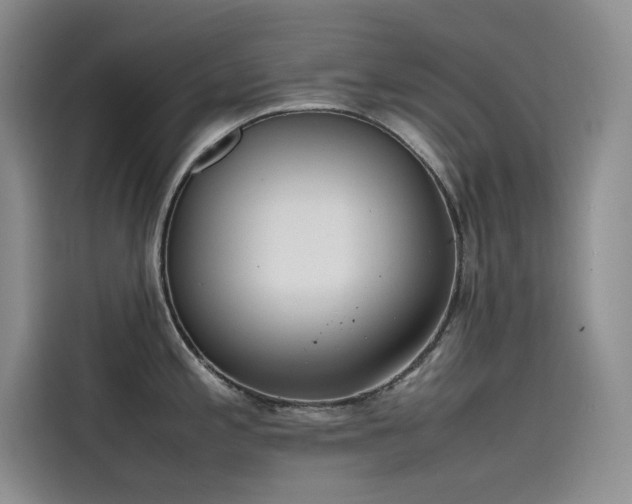 X0000115621197200911171309