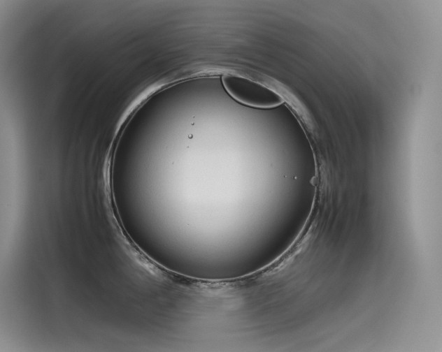 X0000115621198200911171309