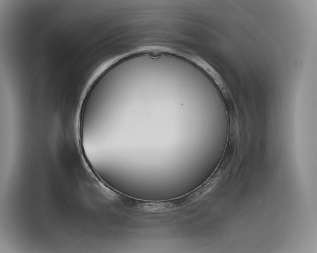 X0000115621199200911171309