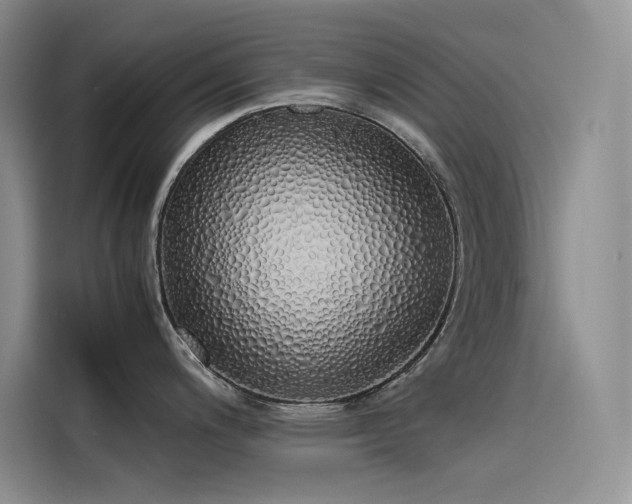 X0000115621200200911171309