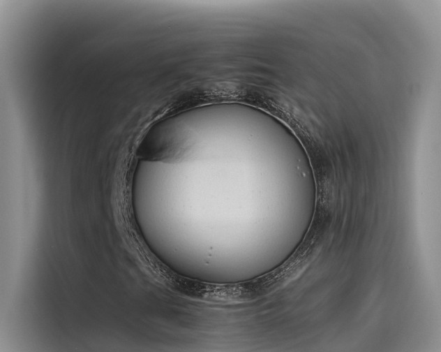 X0000115621201200911171309