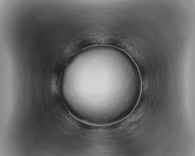 X0000115621202200911171309