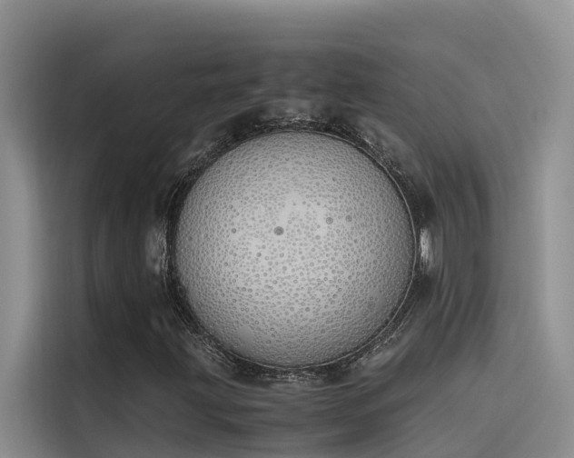 X0000115621203200911171309