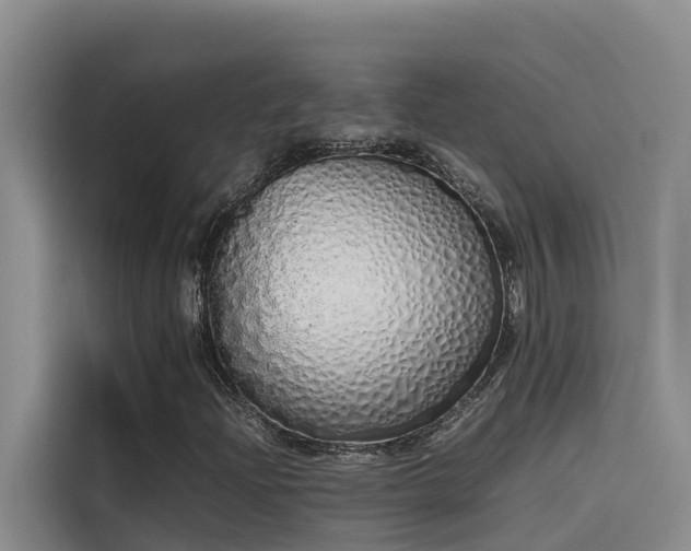 X0000115621204200911171309