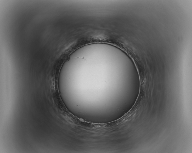 X0000115621205200911171309