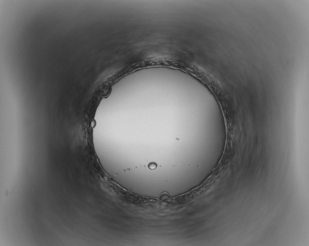 X0000115621207200911171309