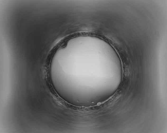 X0000115621208200911171309