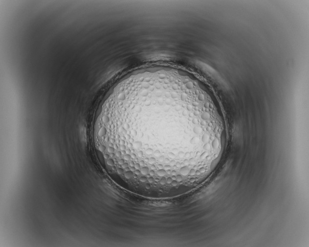 X0000115621209200911171309