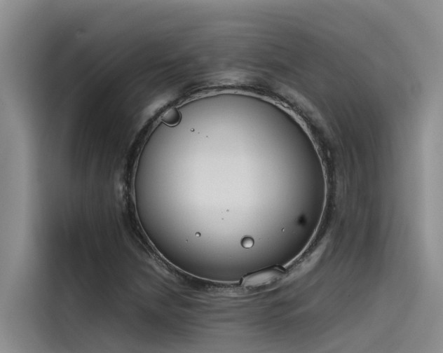 X0000115621210200911171309