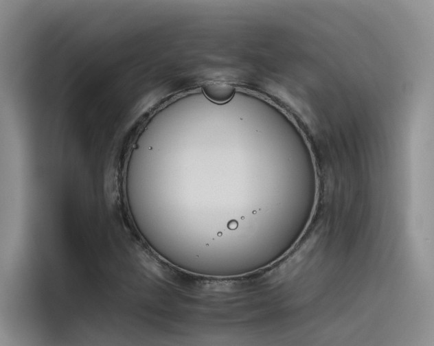 X0000115621211200911171309