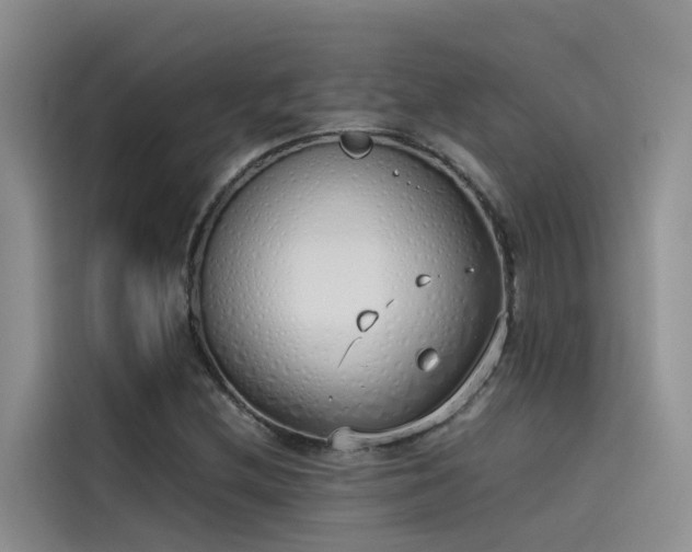 X0000115621212200911171309