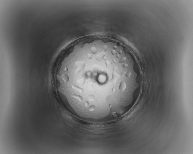 X0000115621215200911171309