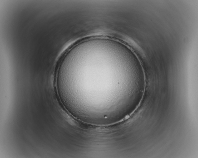 X0000115621216200911171309