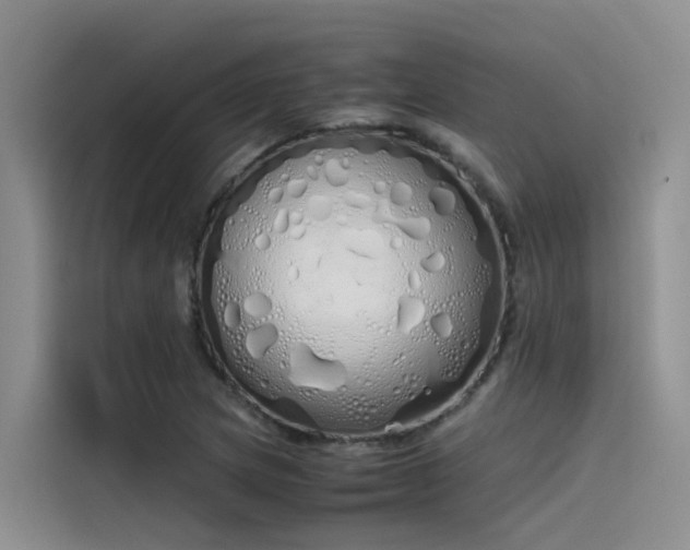 X0000115621217200911171309