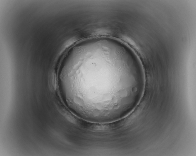 X0000115621219200911171309