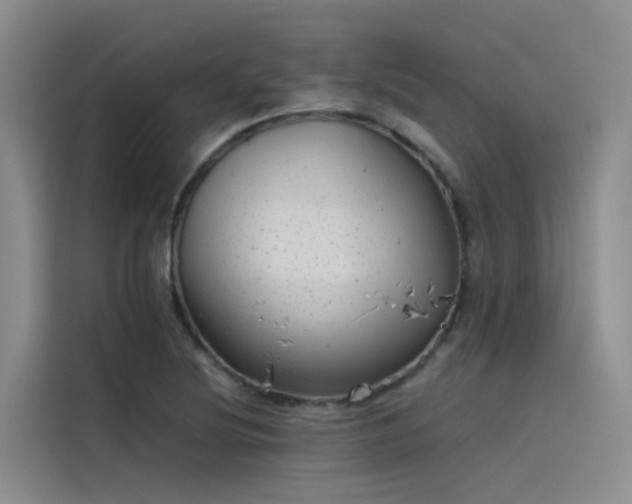 X0000115621220200911171309