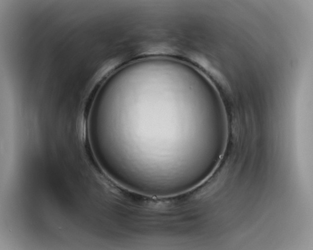 X0000115621221200911171309