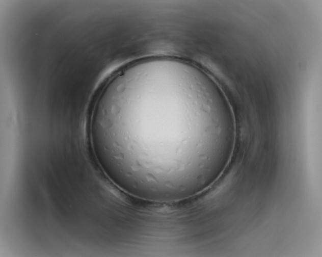 X0000115621222200911171309