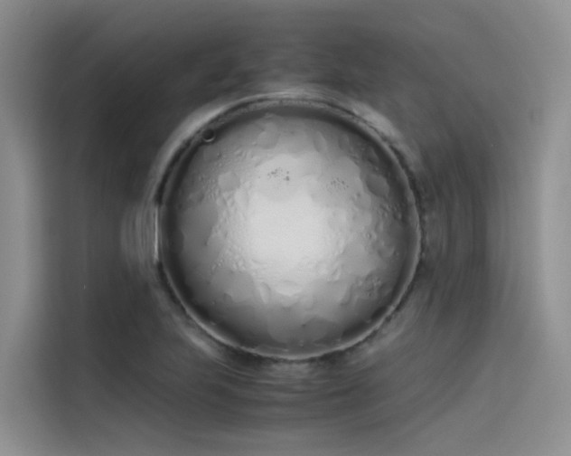 X0000115621223200911171309