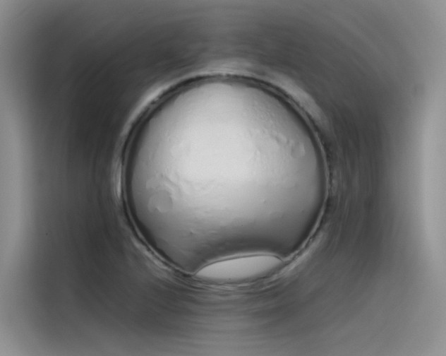 X0000115621224200911171309