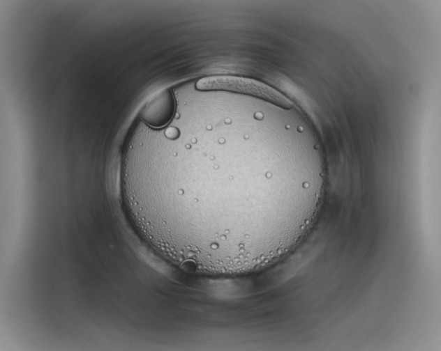 X0000115621227200911171309