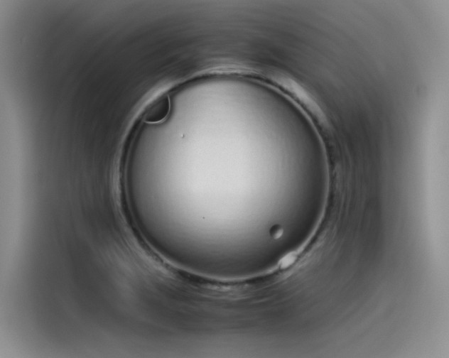 X0000115621229200911171309