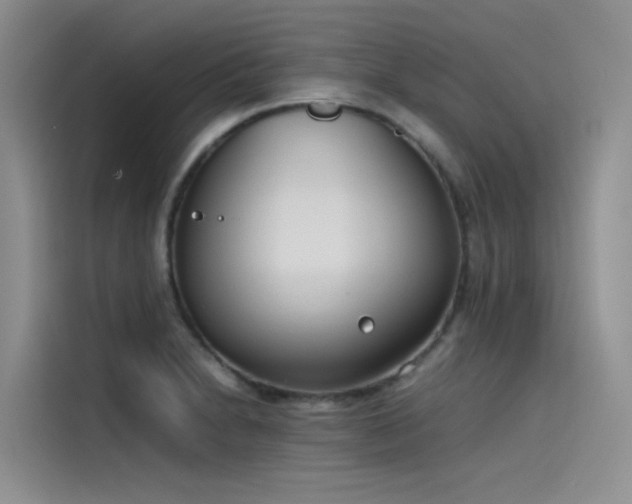 X0000115621230200911171309