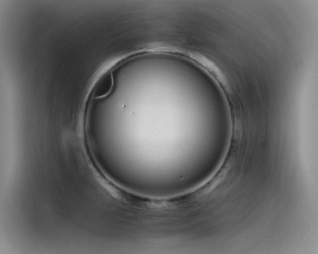 X0000115621231200911171309