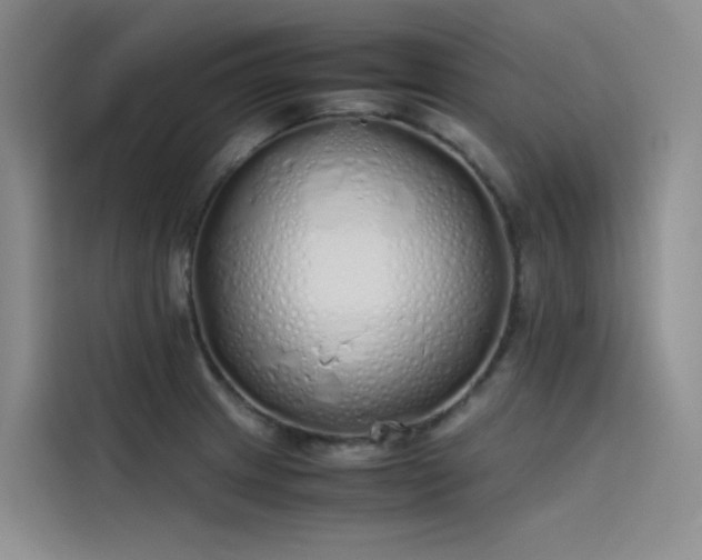 X0000115621233200911171309