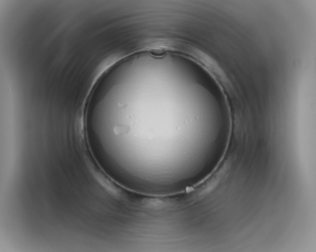 X0000115621234200911171309