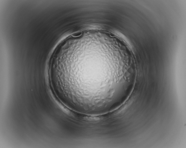 X0000115621235200911171309