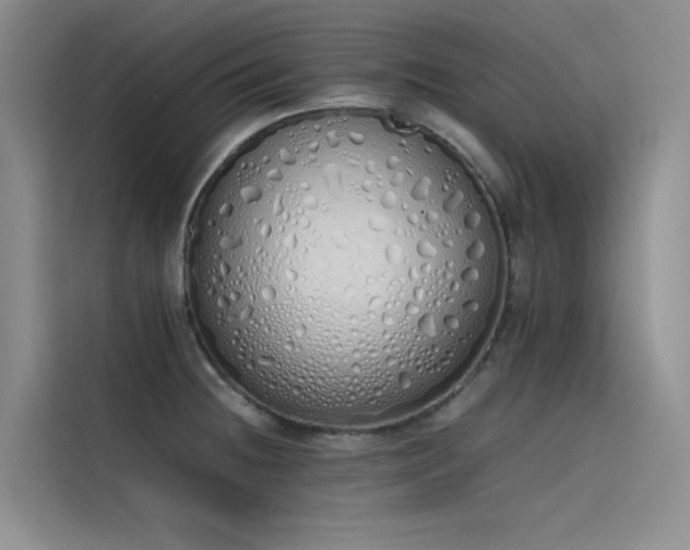 X0000115621236200911171309