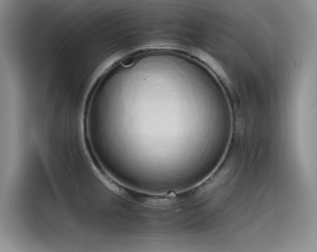 X0000115621237200911171309