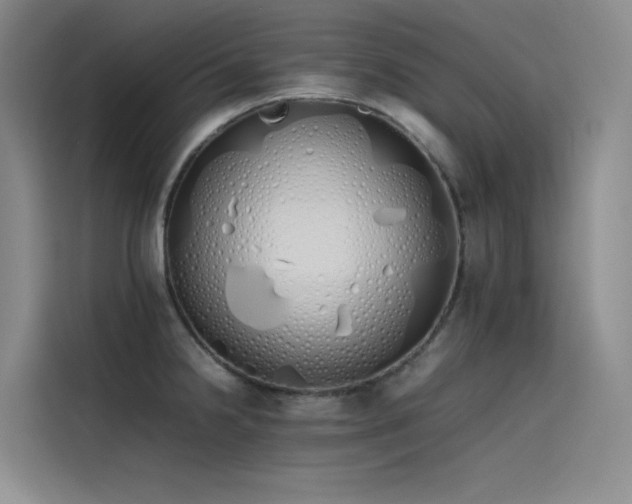 X0000115621238200911171309