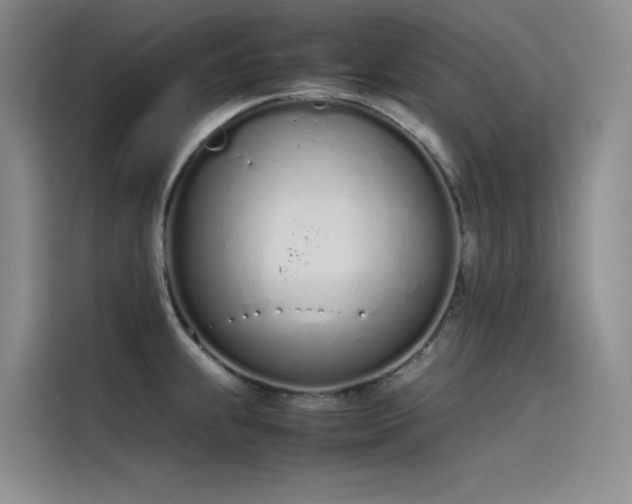 X0000115621239200911171309