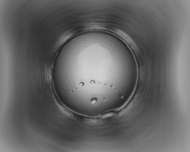 X0000115621241200911171309