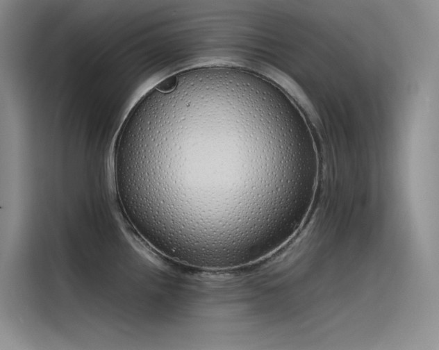 X0000115621242200911171309