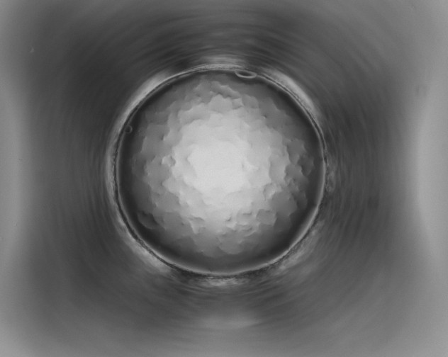 X0000115621243200911171309