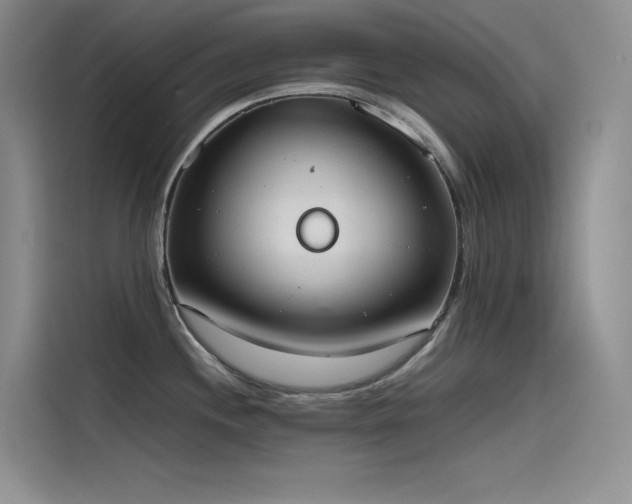 X0000115621244200911171309