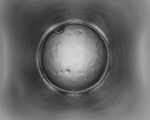 X0000115621245200911171309