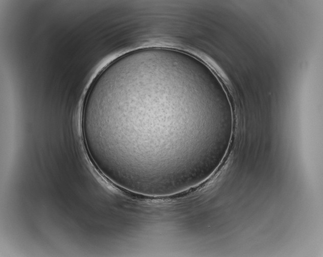 X0000115621246200911171309