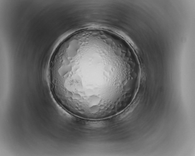 X0000115621247200911171309