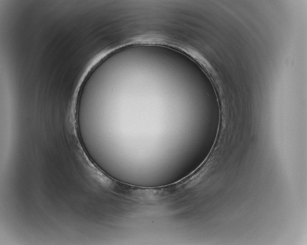 X0000115621248200911171309