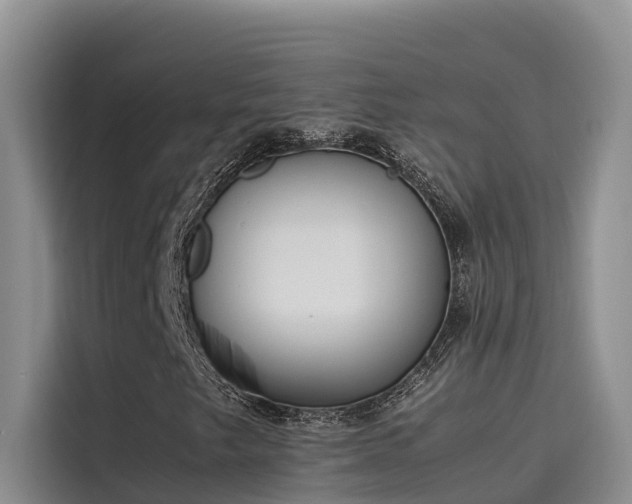 X0000115621249200911171309