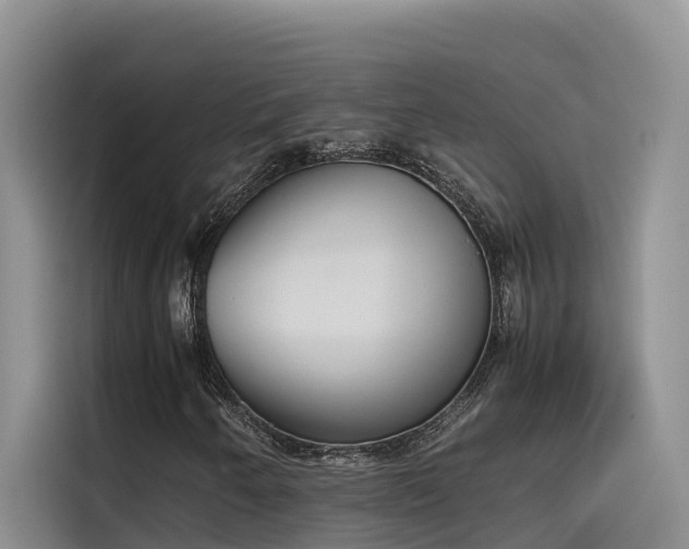 X0000115621250200911171309