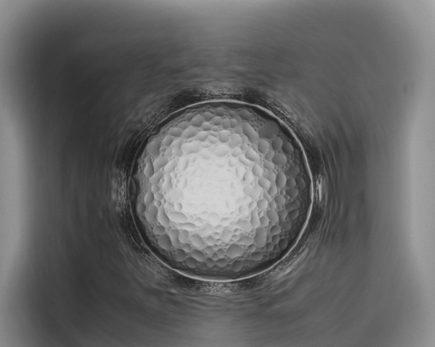 X0000115621251200911171309