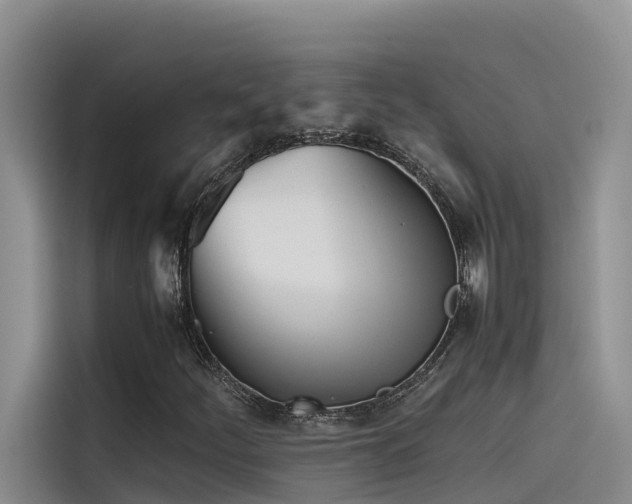 X0000115621252200911171309